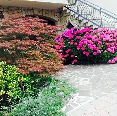 度莱奥尼住宿加早餐旅馆 住宿加早餐酒店 托里德尔贝纳科