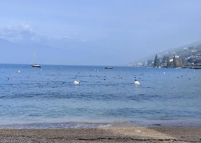 Due Leoni Bed & Breakfast Torri Del Benaco